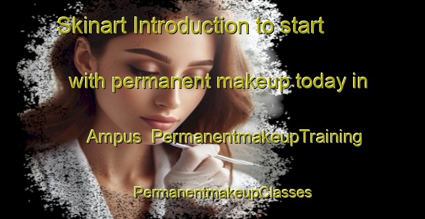 Skinart Introduction to start with permanent makeup today in Ampus | #PermanentmakeupTraining #PermanentmakeupClasses #SkinartTraining-France