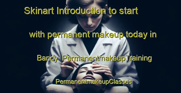 Skinart Introduction to start with permanent makeup today in Bandy | PermanentmakeupTraining | PermanentmakeupClasses | SkinartTraining-France