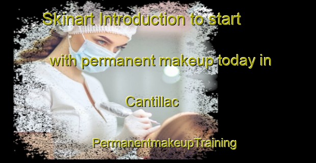 Skinart Introduction to start with permanent makeup today in Cantillac | #PermanentmakeupTraining #PermanentmakeupClasses #SkinartTraining-France