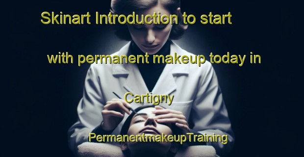 Skinart Introduction to start with permanent makeup today in Cartigny | #PermanentmakeupTraining #PermanentmakeupClasses #SkinartTraining-France