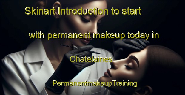 Skinart Introduction to start with permanent makeup today in Chatelaines | PermanentmakeupTraining | PermanentmakeupClasses | SkinartTraining-France
