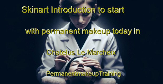 Skinart Introduction to start with permanent makeup today in Chatelus Le Marcheix | PermanentmakeupTraining | PermanentmakeupClasses | SkinartTraining-France