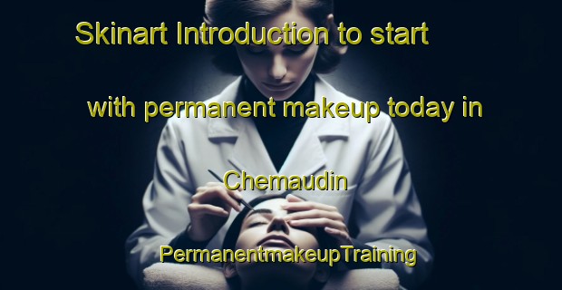 Skinart Introduction to start with permanent makeup today in Chemaudin | PermanentmakeupTraining | PermanentmakeupClasses | SkinartTraining-France