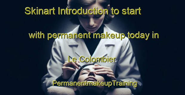 Skinart Introduction to start with permanent makeup today in Le Colombier | PermanentmakeupTraining | PermanentmakeupClasses | SkinartTraining-France