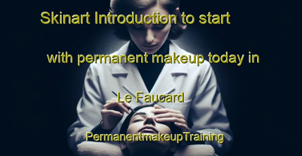 Skinart Introduction to start with permanent makeup today in Le Faucard | PermanentmakeupTraining | PermanentmakeupClasses | SkinartTraining-France