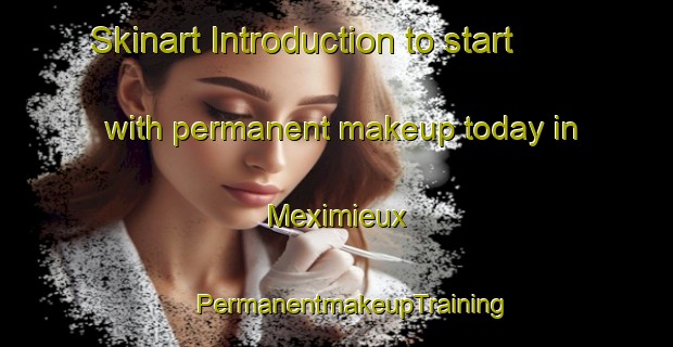 Skinart Introduction to start with permanent makeup today in Meximieux | #PermanentmakeupTraining #PermanentmakeupClasses #SkinartTraining-France