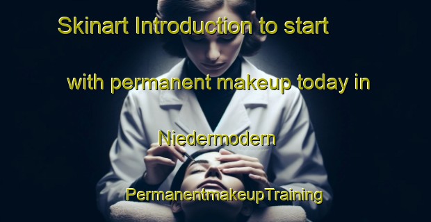 Skinart Introduction to start with permanent makeup today in Niedermodern | #PermanentmakeupTraining #PermanentmakeupClasses #SkinartTraining-France