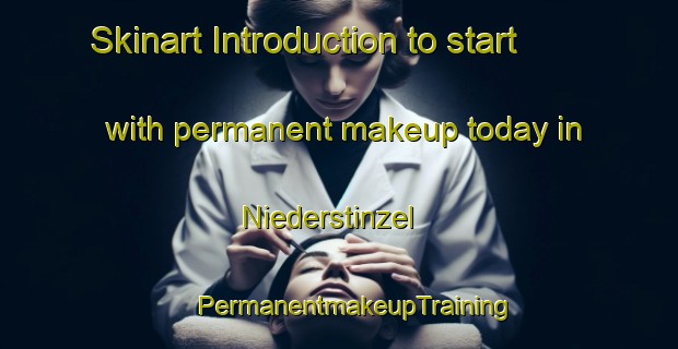 Skinart Introduction to start with permanent makeup today in Niederstinzel | #PermanentmakeupTraining #PermanentmakeupClasses #SkinartTraining-France