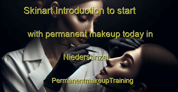 Skinart Introduction to start with permanent makeup today in Niederstinzel | #PermanentmakeupTraining #PermanentmakeupClasses #SkinartTraining-France