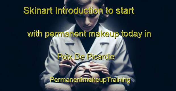 Skinart Introduction to start with permanent makeup today in Poix De Picardie | PermanentmakeupTraining | PermanentmakeupClasses | SkinartTraining-France