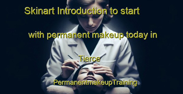 Skinart Introduction to start with permanent makeup today in Tierce | #PermanentmakeupTraining #PermanentmakeupClasses #SkinartTraining-France