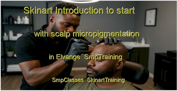 Skinart Introduction to start with scalp micropigmentation in Elvange | SmpTraining | SmpClasses | SkinartTraining-France