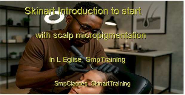 Skinart Introduction to start with scalp micropigmentation in L Eglise | SmpTraining | SmpClasses | SkinartTraining-France