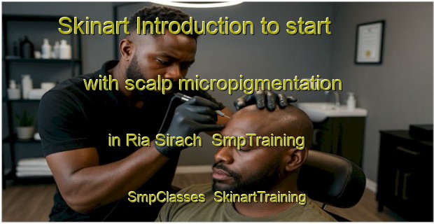 Skinart Introduction to start with scalp micropigmentation in Ria Sirach | SmpTraining | SmpClasses | SkinartTraining-France