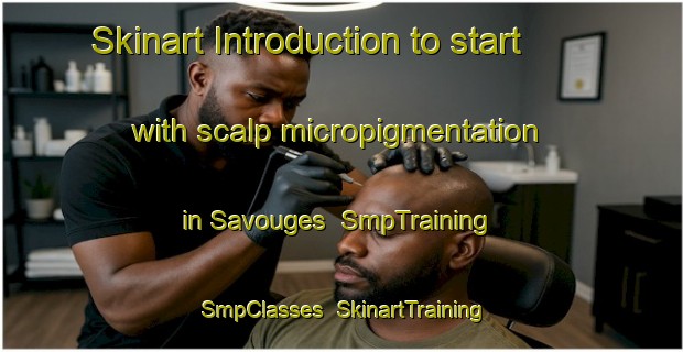 Skinart Introduction to start with scalp micropigmentation in Savouges | SmpTraining | SmpClasses | SkinartTraining-France