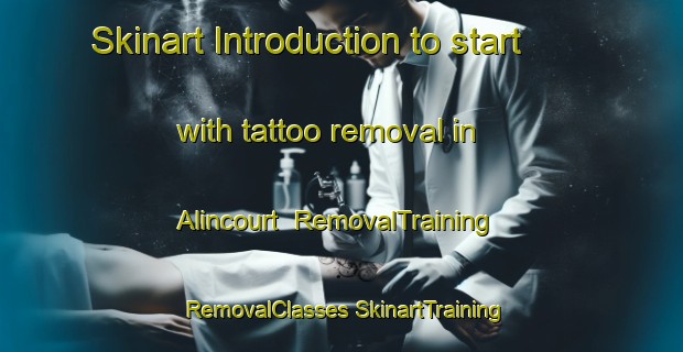 Skinart Introduction to start with tattoo removal in Alincourt | #RemovalTraining #RemovalClasses #SkinartTraining-France