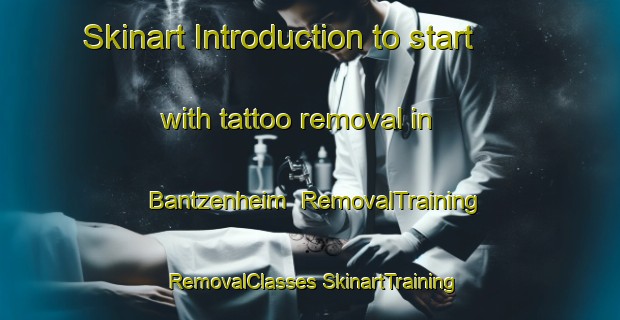 Skinart Introduction to start with tattoo removal in Bantzenheim | #RemovalTraining #RemovalClasses #SkinartTraining-France