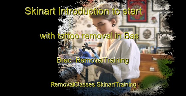 Skinart Introduction to start with tattoo removal in Bas Brec | #RemovalTraining #RemovalClasses #SkinartTraining-France