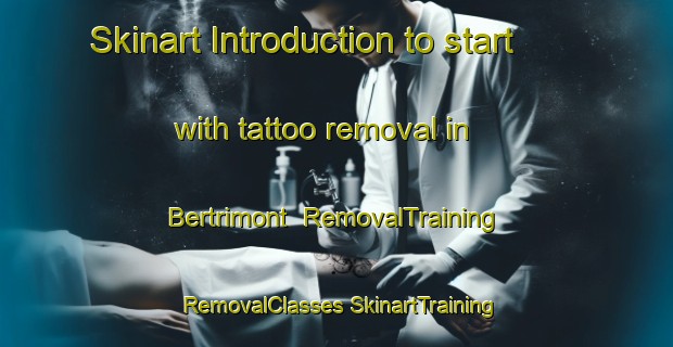 Skinart Introduction to start with tattoo removal in Bertrimont | #RemovalTraining #RemovalClasses #SkinartTraining-France