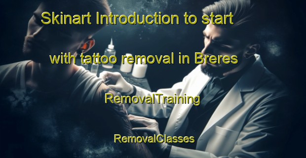 Skinart Introduction to start with tattoo removal in Breres | RemovalTraining | RemovalClasses | SkinartTraining-France