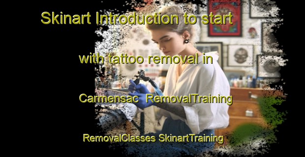 Skinart Introduction to start with tattoo removal in Carmensac | #RemovalTraining #RemovalClasses #SkinartTraining-France