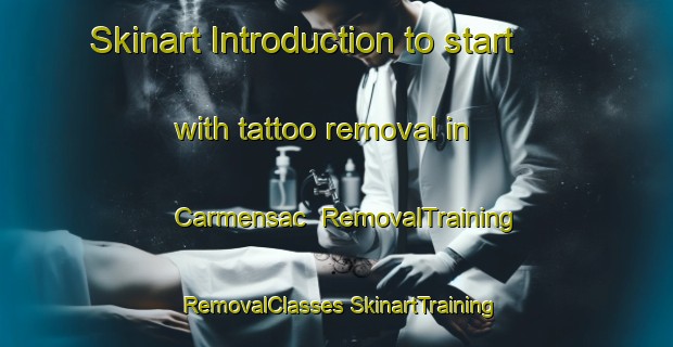 Skinart Introduction to start with tattoo removal in Carmensac | #RemovalTraining #RemovalClasses #SkinartTraining-France