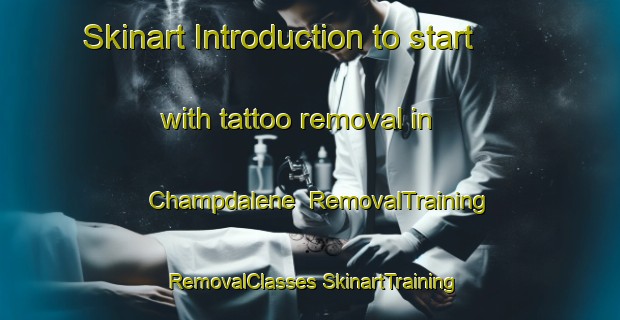 Skinart Introduction to start with tattoo removal in Champdalene | #RemovalTraining #RemovalClasses #SkinartTraining-France