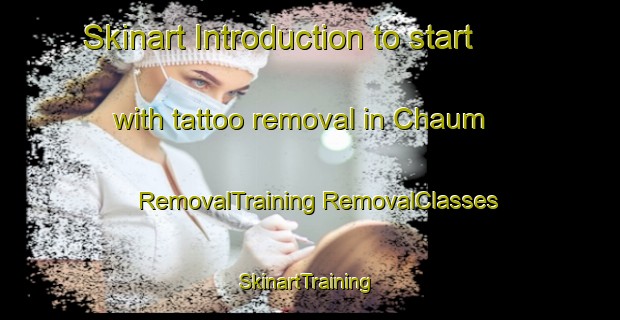 Skinart Introduction to start with tattoo removal in Chaum | #RemovalTraining #RemovalClasses #SkinartTraining-France