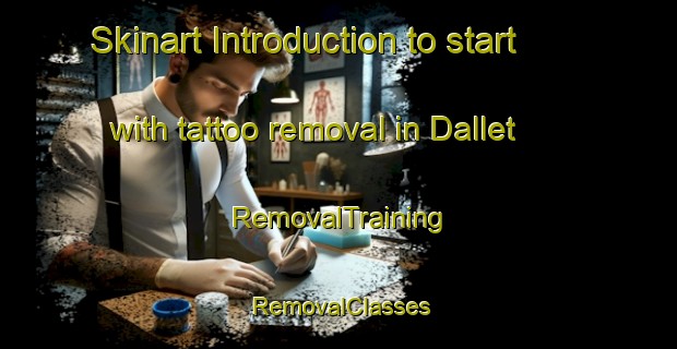 Skinart Introduction to start with tattoo removal in Dallet | RemovalTraining | RemovalClasses | SkinartTraining-France