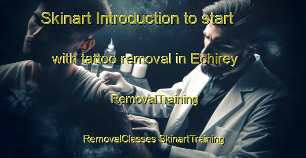 Skinart Introduction to start with tattoo removal in Echirey | #RemovalTraining #RemovalClasses #SkinartTraining-France