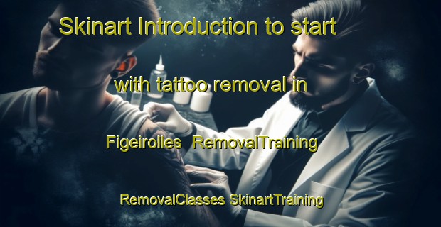 Skinart Introduction to start with tattoo removal in Figeirolles | #RemovalTraining #RemovalClasses #SkinartTraining-France