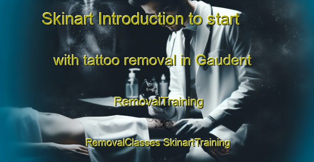 Skinart Introduction to start with tattoo removal in Gaudent | #RemovalTraining #RemovalClasses #SkinartTraining-France