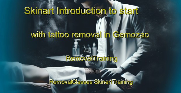 Skinart Introduction to start with tattoo removal in Gemozac | #RemovalTraining #RemovalClasses #SkinartTraining-France