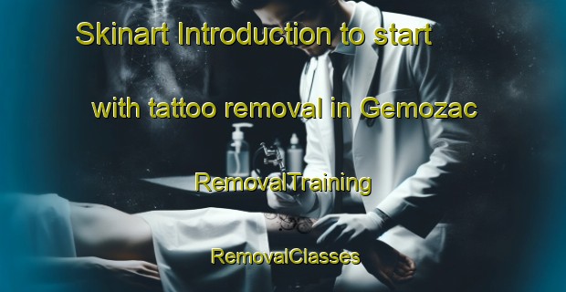 Skinart Introduction to start with tattoo removal in Gemozac | RemovalTraining | RemovalClasses | SkinartTraining-France
