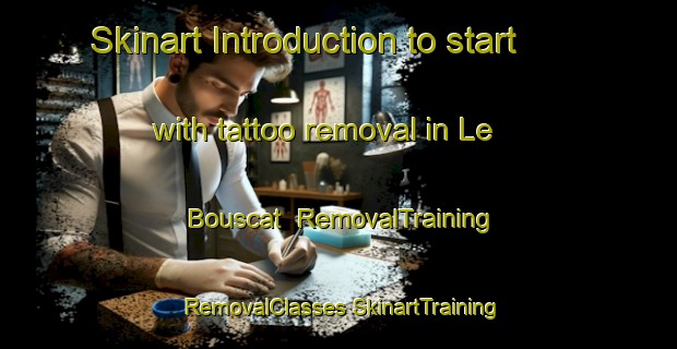 Skinart Introduction to start with tattoo removal in Le Bouscat | #RemovalTraining #RemovalClasses #SkinartTraining-France