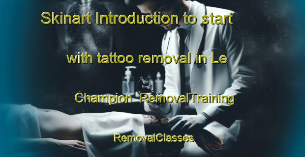Skinart Introduction to start with tattoo removal in Le Champion | RemovalTraining | RemovalClasses | SkinartTraining-France