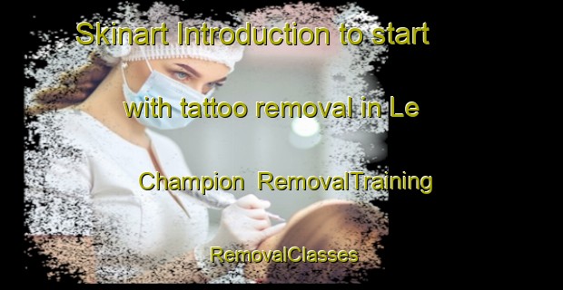 Skinart Introduction to start with tattoo removal in Le Champion | RemovalTraining | RemovalClasses | SkinartTraining-France