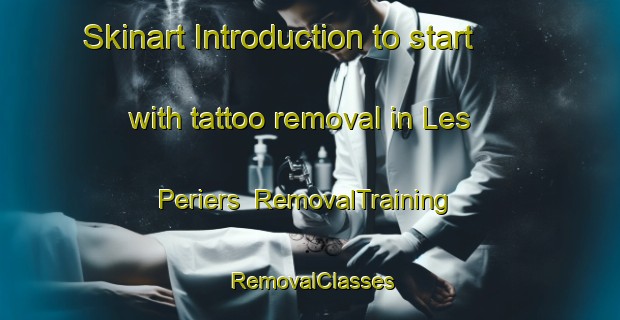Skinart Introduction to start with tattoo removal in Les Periers | RemovalTraining | RemovalClasses | SkinartTraining-France