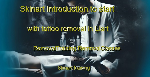 Skinart Introduction to start with tattoo removal in Liart | #RemovalTraining #RemovalClasses #SkinartTraining-France