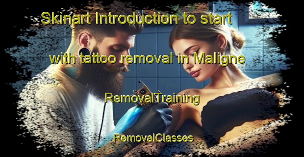 Skinart Introduction to start with tattoo removal in Maligne | RemovalTraining | RemovalClasses | SkinartTraining-France