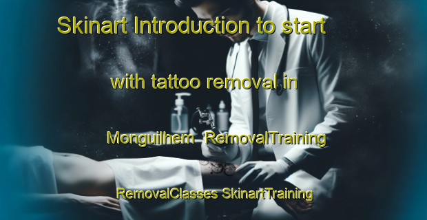 Skinart Introduction to start with tattoo removal in Monguilhem | #RemovalTraining #RemovalClasses #SkinartTraining-France