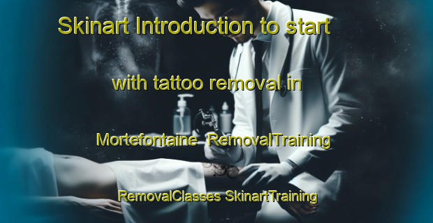 Skinart Introduction to start with tattoo removal in Mortefontaine | #RemovalTraining #RemovalClasses #SkinartTraining-France