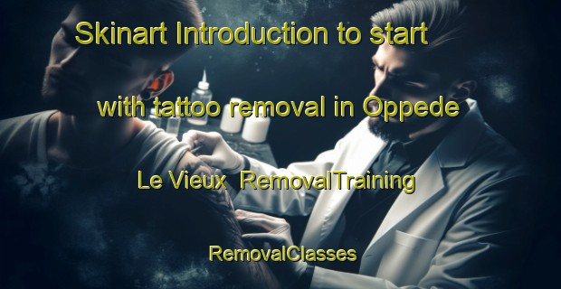 Skinart Introduction to start with tattoo removal in Oppede Le Vieux | RemovalTraining | RemovalClasses | SkinartTraining-France