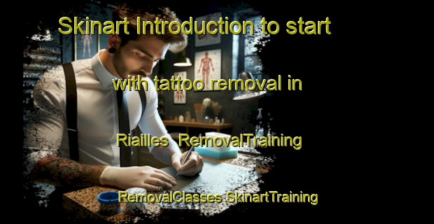 Skinart Introduction to start with tattoo removal in Riailles | #RemovalTraining #RemovalClasses #SkinartTraining-France