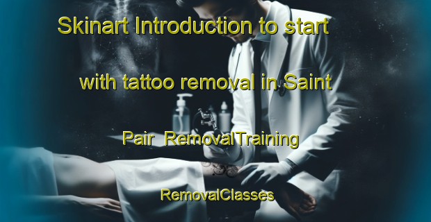 Skinart Introduction to start with tattoo removal in Saint Pair | RemovalTraining | RemovalClasses | SkinartTraining-France