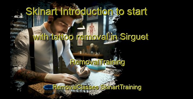 Skinart Introduction to start with tattoo removal in Sirguet | #RemovalTraining #RemovalClasses #SkinartTraining-France