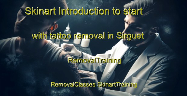 Skinart Introduction to start with tattoo removal in Sirguet | #RemovalTraining #RemovalClasses #SkinartTraining-France