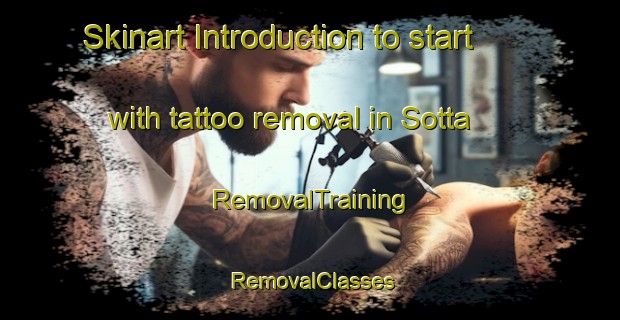 Skinart Introduction to start with tattoo removal in Sotta | RemovalTraining | RemovalClasses | SkinartTraining-France