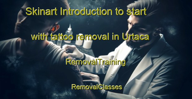 Skinart Introduction to start with tattoo removal in Urtaca | RemovalTraining | RemovalClasses | SkinartTraining-France