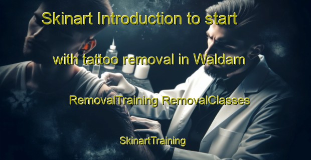 Skinart Introduction to start with tattoo removal in Waldam | #RemovalTraining #RemovalClasses #SkinartTraining-France